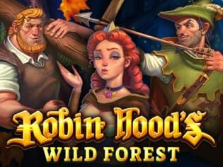 Robin Hood's Wild Forest thumbnail